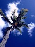 /album/fotogalerie/a2015-06-09-19-56-34-png/